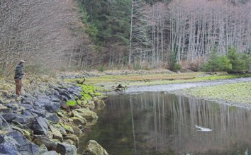 Fishing for Steelhead