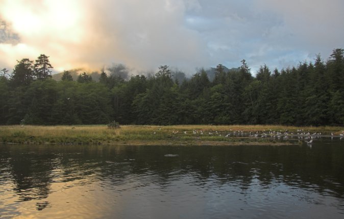 Indian River Estuary