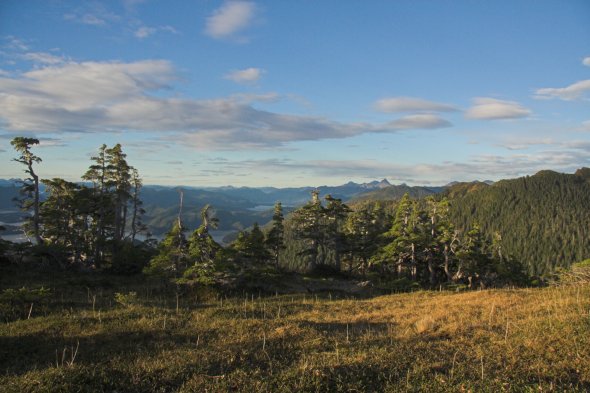 Looking Northwest from Harbor Mountain