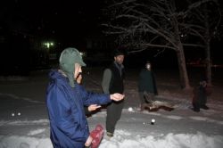 Releasing a Western Screech Owl