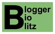 Blogger BioBlitz