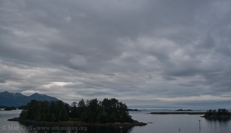 Fall Overcast Sitka Nature