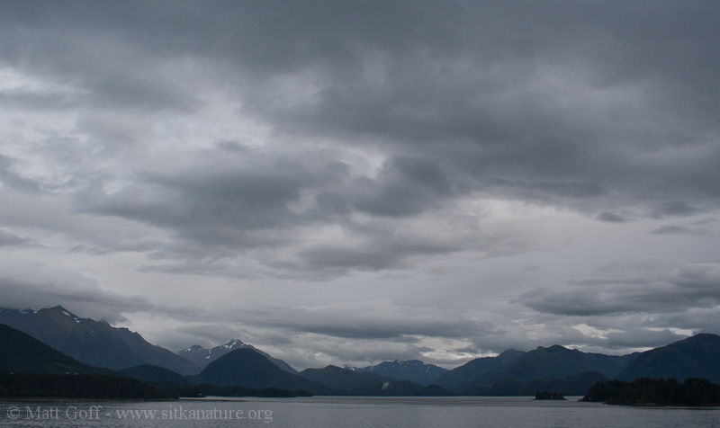 Fall Overcast Sitka Nature