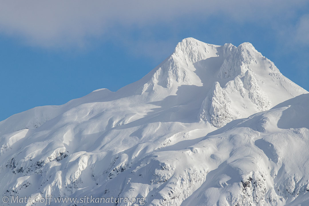 Snow Blanket on the Mountains Sitka Nature