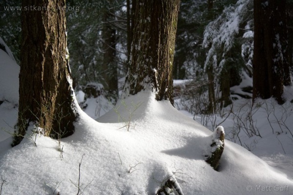 Westwood Trail Snow