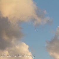 Migrating Geese and Clouds