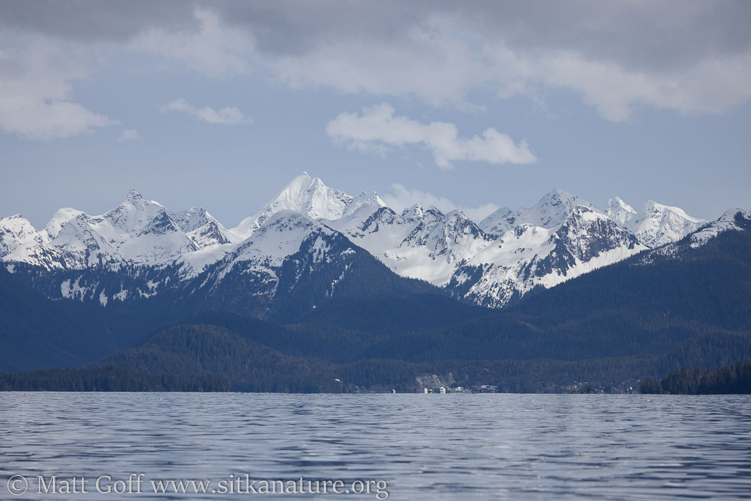 Point Brown and North Sitka Sound | Sitka Nature