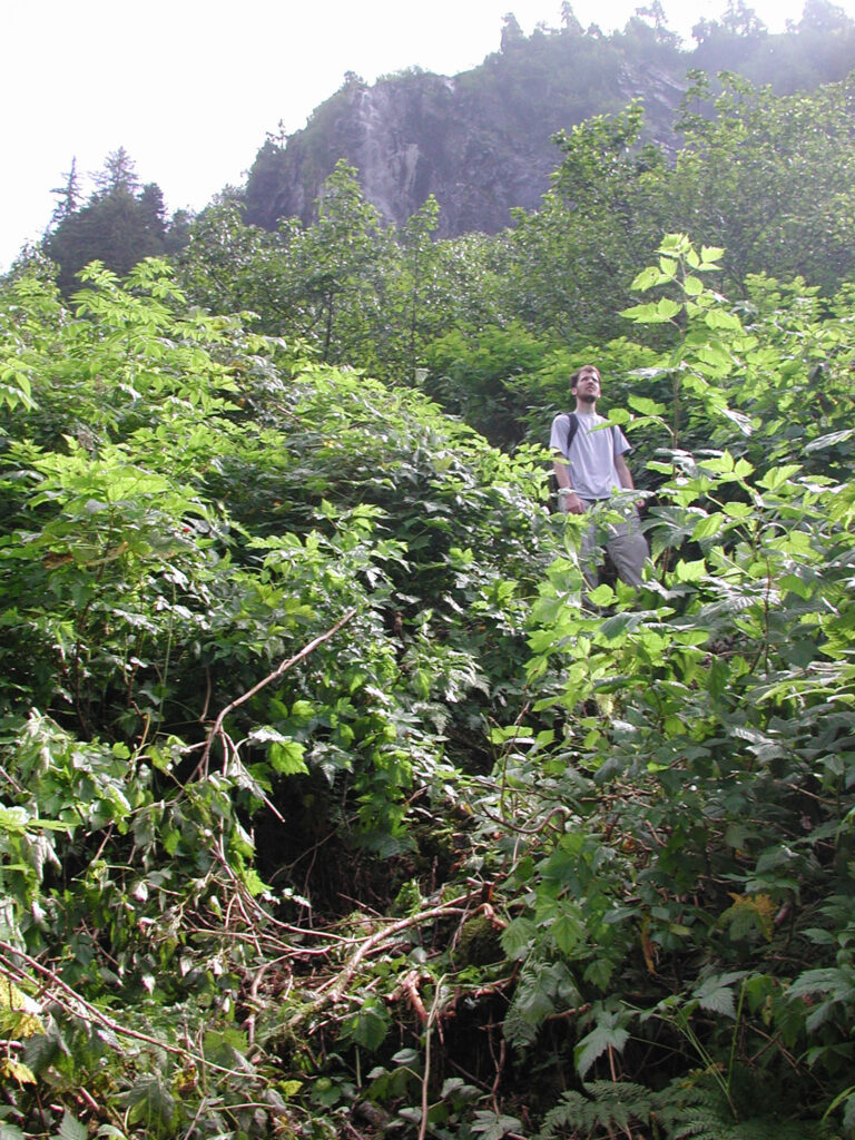 Jonathan on Trail Cleared in Brush