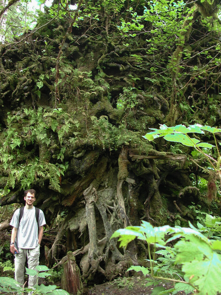 Jonathan with Vertical Rootmass