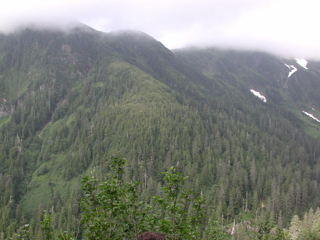 Slopes Behind the Middle Sister