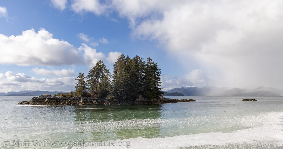 Herring Spawn and Evening Light | Sitka Nature