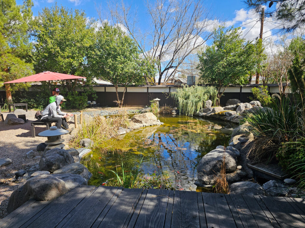 Tuscon Japanese Garden