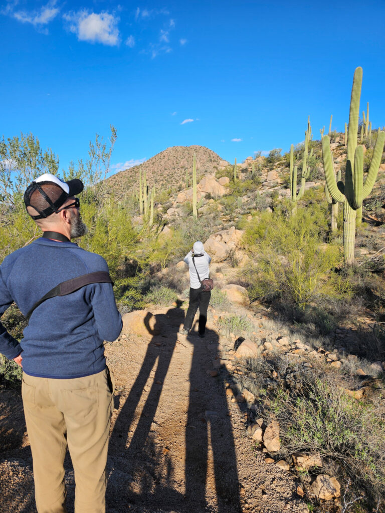 West Saguaro National Park