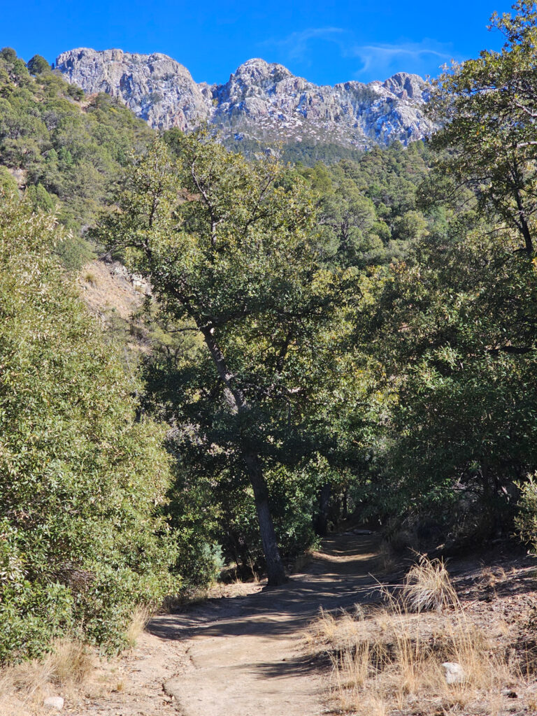 Hiking Trail  at Madera Canyon, Arizona