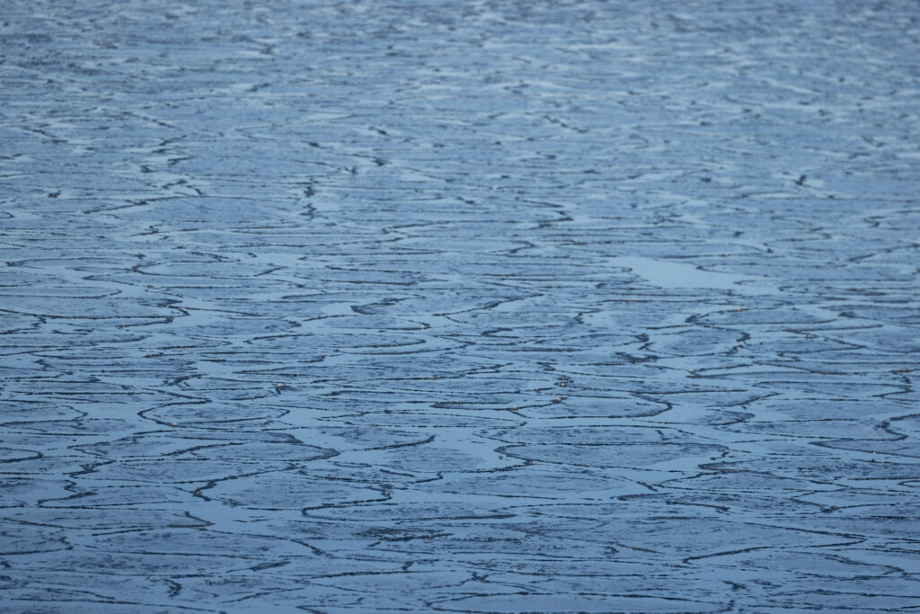 Ice in Jamestown Bay, Sitka, Alaska