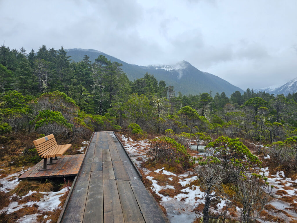 Forest and Muskeg Trail Boardwalk and Bench