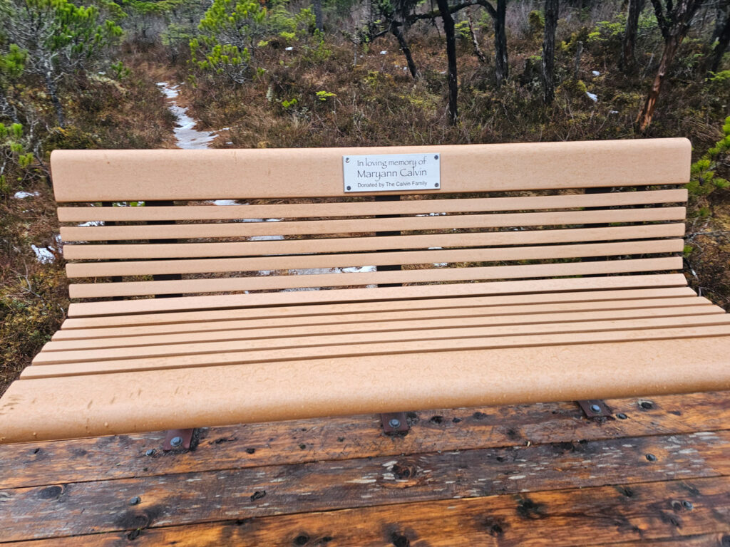 Memorial Bench