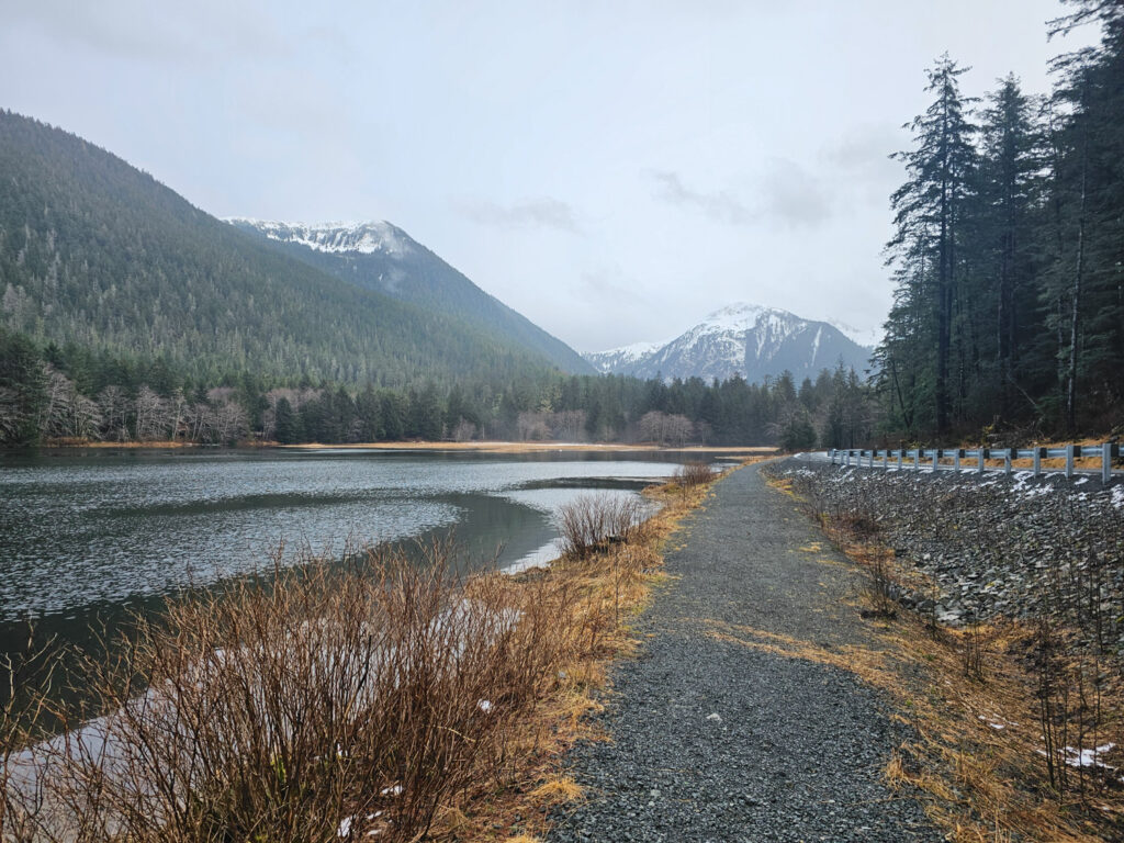 Nelson Logging Road Estuary Path