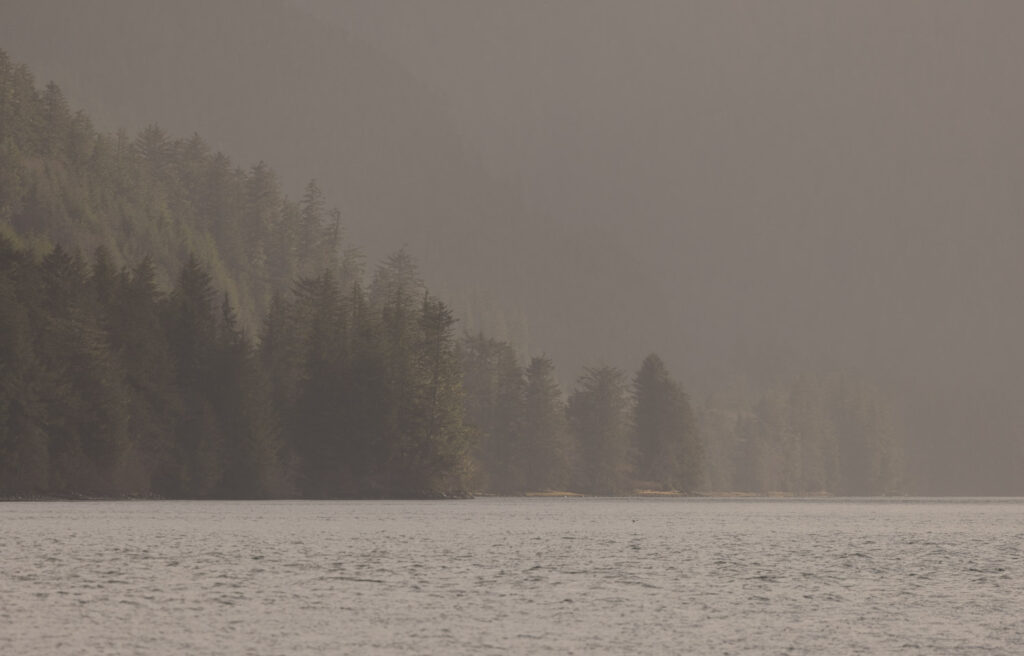 Silver Bay Shoreline