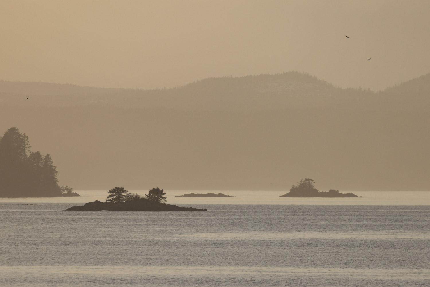 Rocky Islets