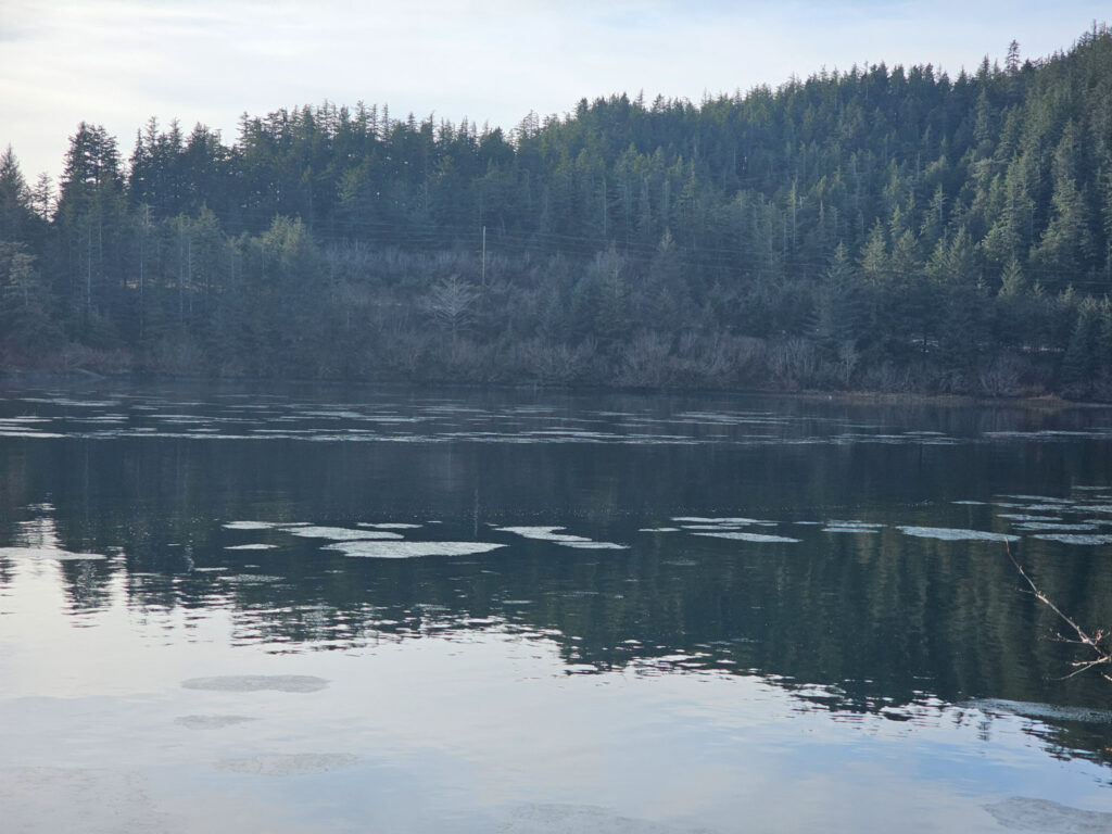 Ice in Herring Cove