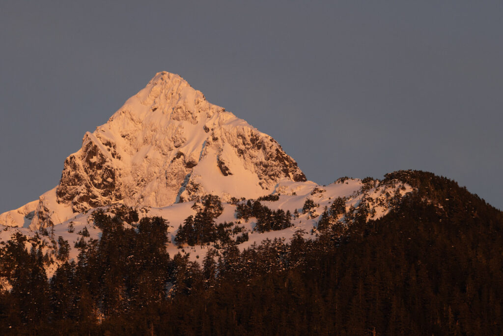 Verstovia with Snow