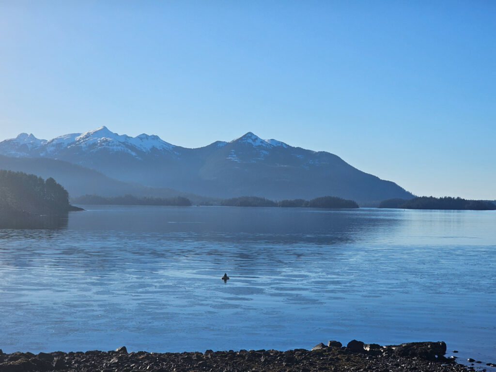 Ice on Jamestown Bay