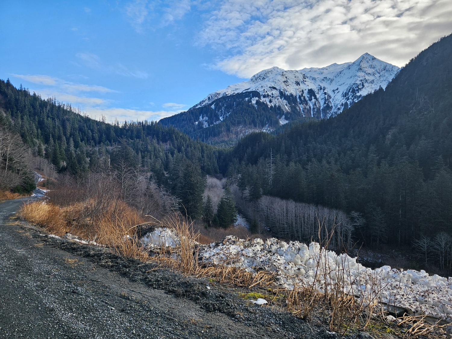 Blue Lake Road View