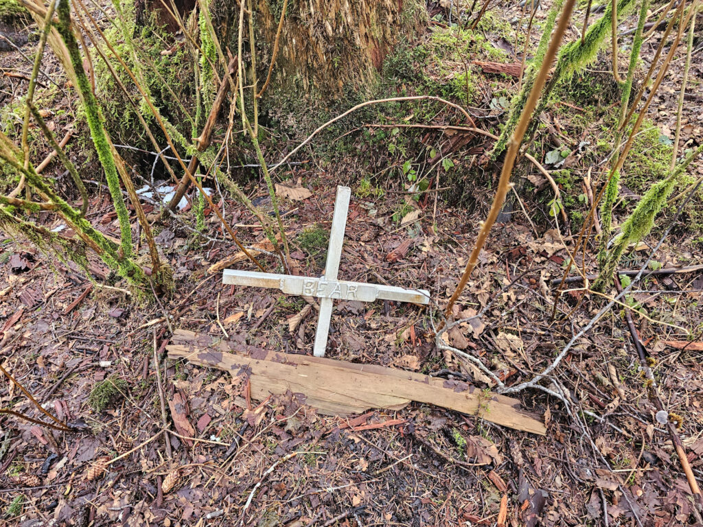 Memorial to Bear