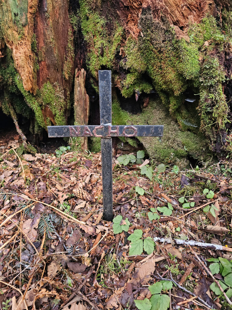 Memorial to Nacho