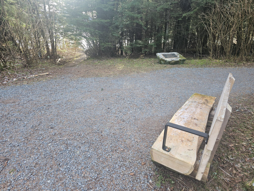 Bench along Trail