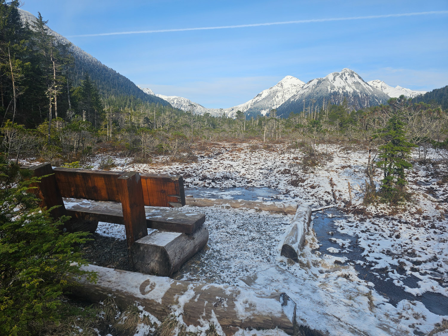 Indian River Muskeg Bench