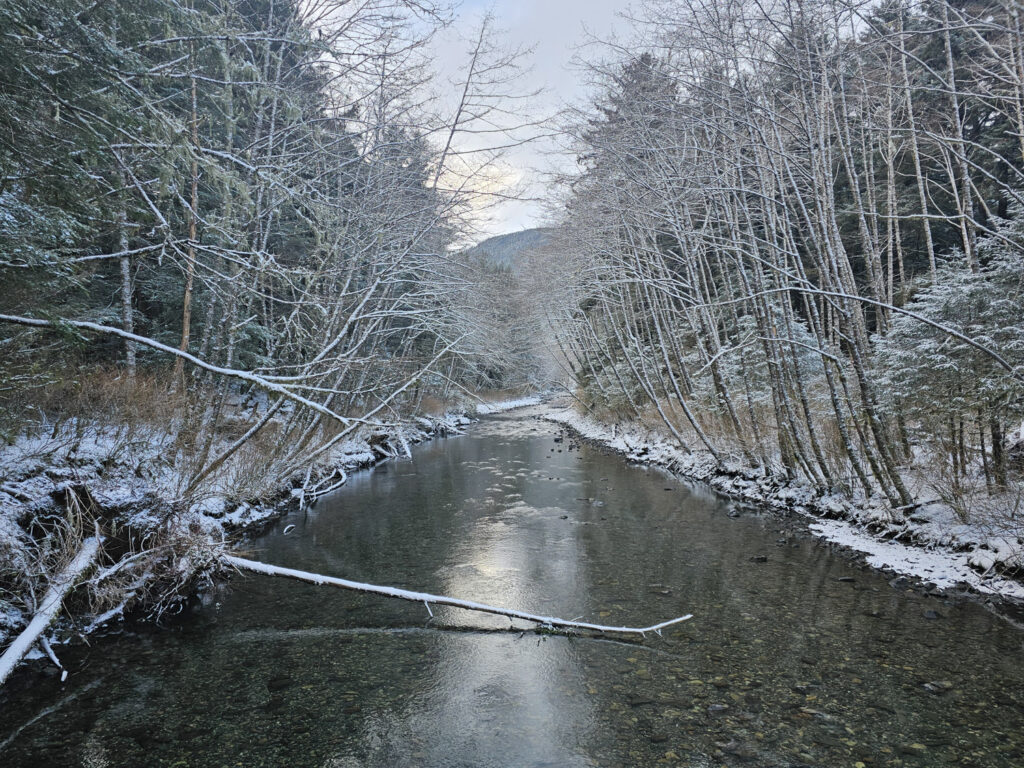 Indian River Winter View