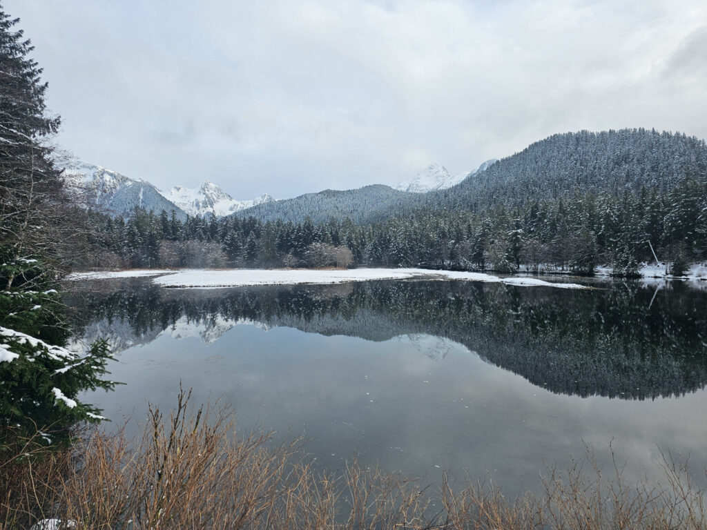 Starrigavan Estuary Reflection