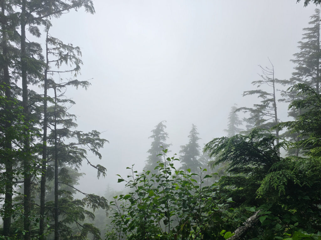 First Viewpoint on Verstovia Trail