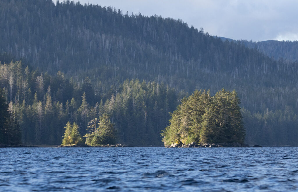 Nadezhda Islands in the Light