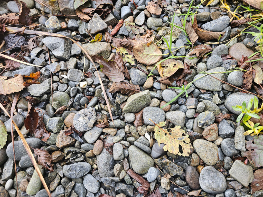 Rounded Beach Rock