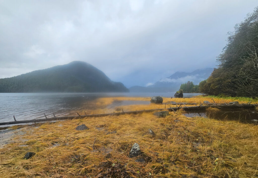 Silver Bay Shoreline