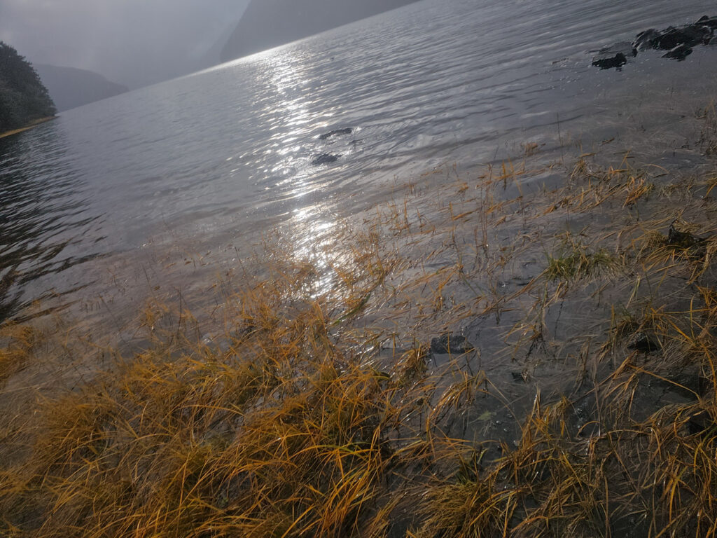 Silver Bay Shoreline