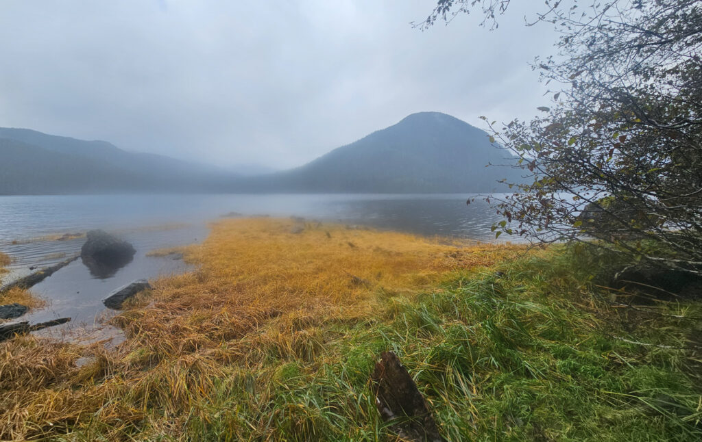 Silver Bay Shoreline