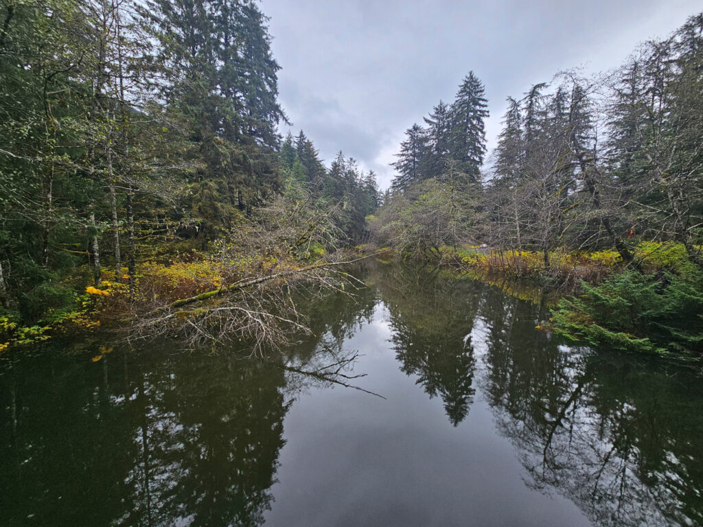 High Tide at Starrigavan Creek