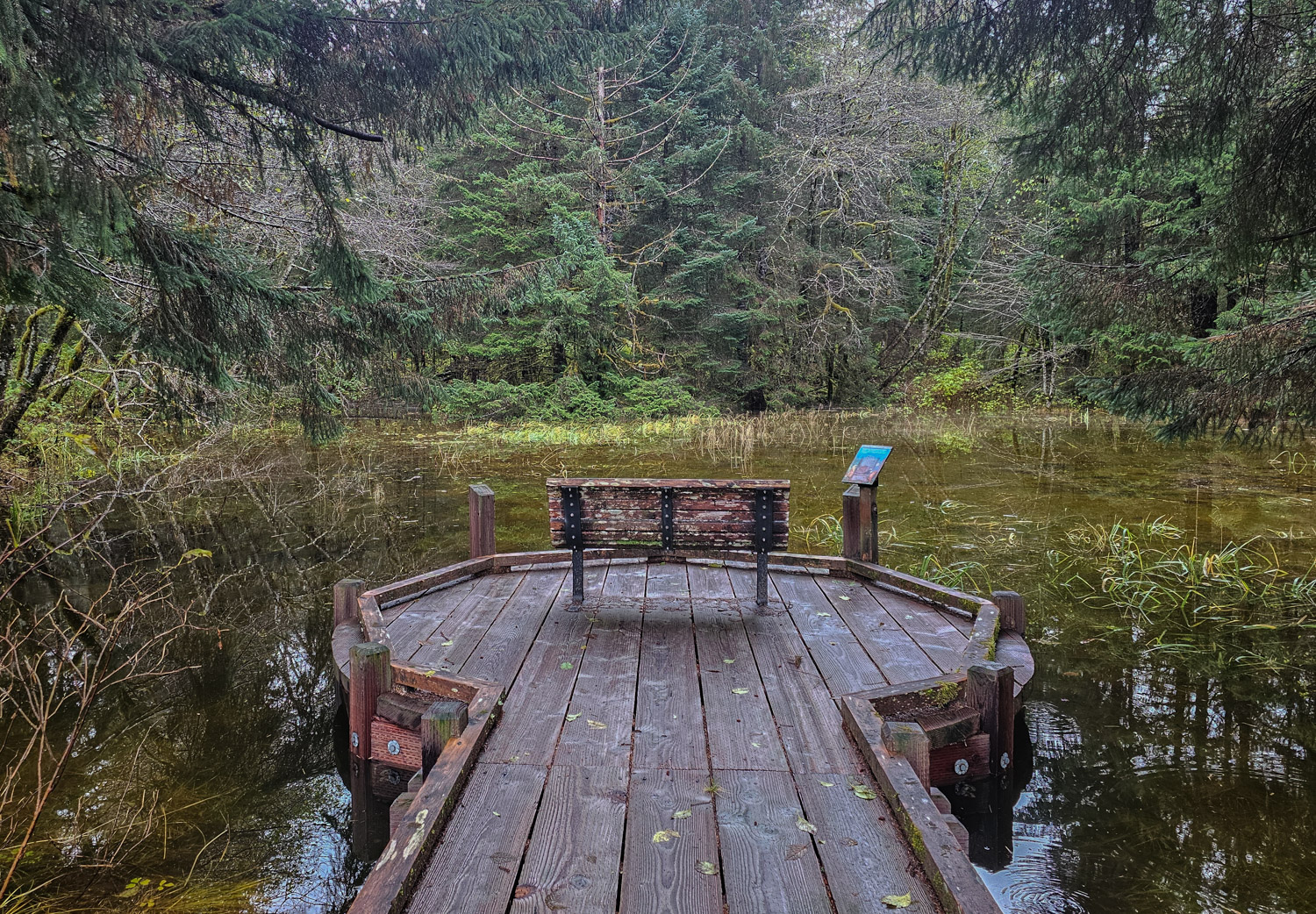 Estuary Life Trail Bench