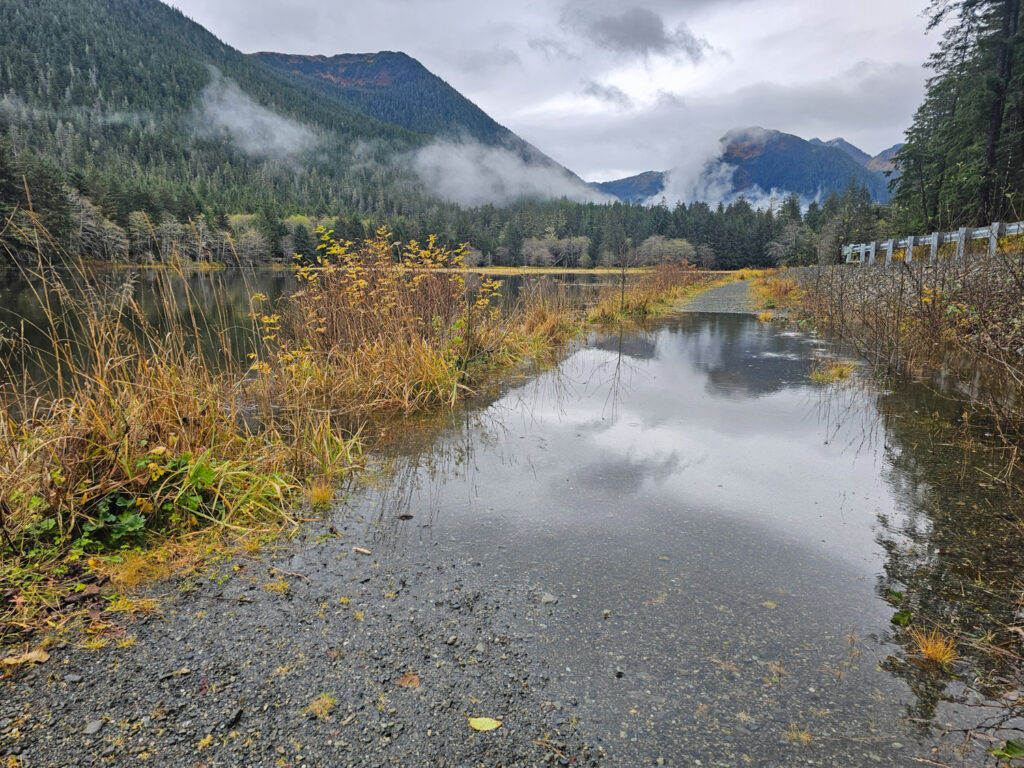 High Tide at Starrigavan