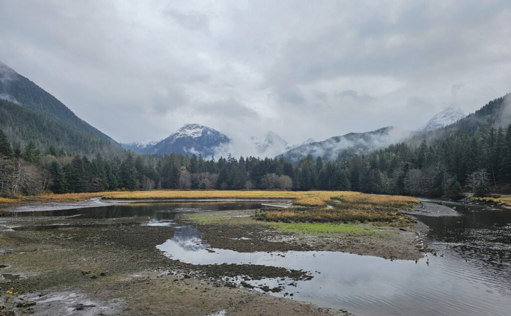 Starrigavan Estuary