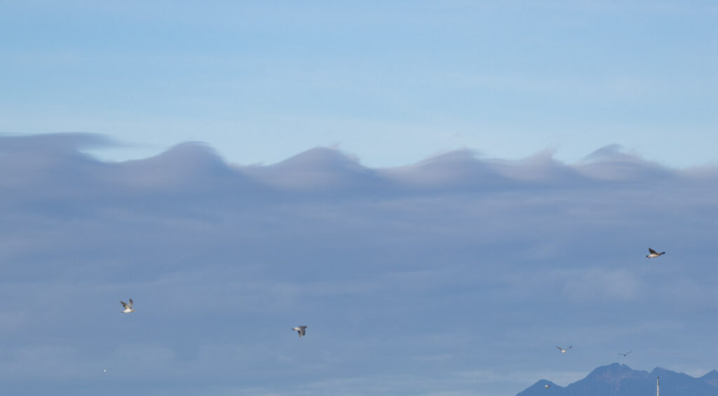 Wave Clouds