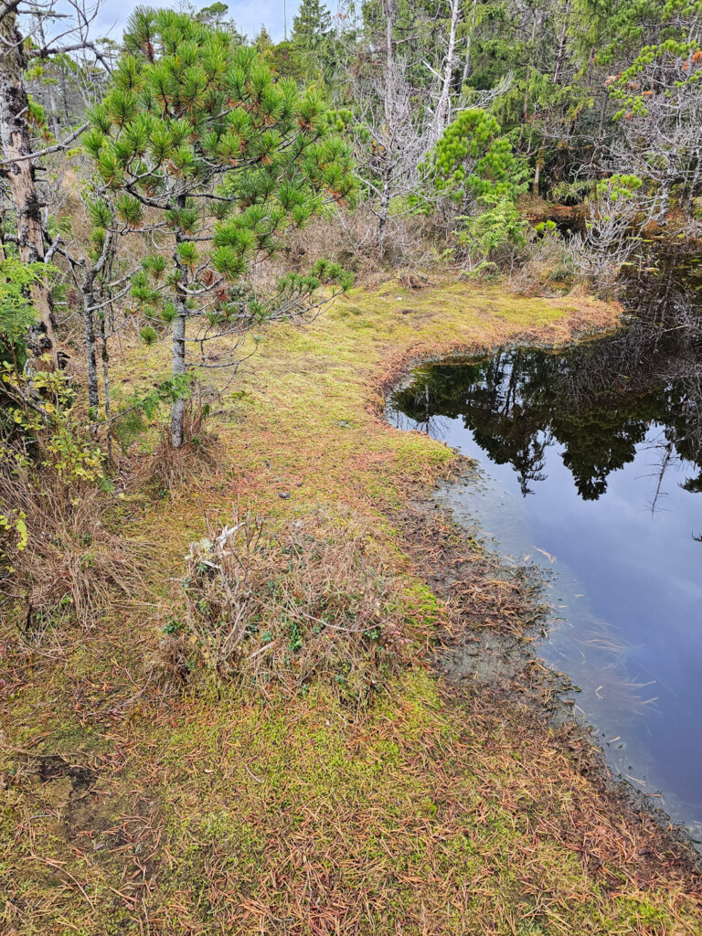 River Otter Trail Transition