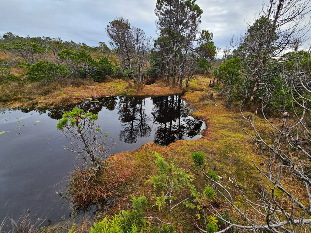 River Otter Trail Transition