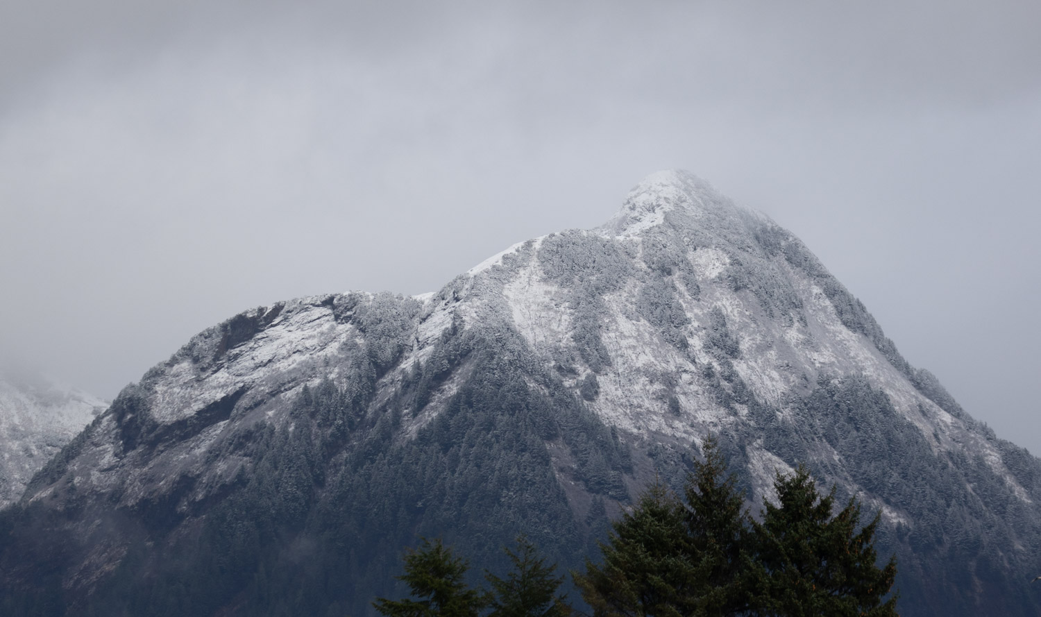 Fresh Snow on the Middle Sister