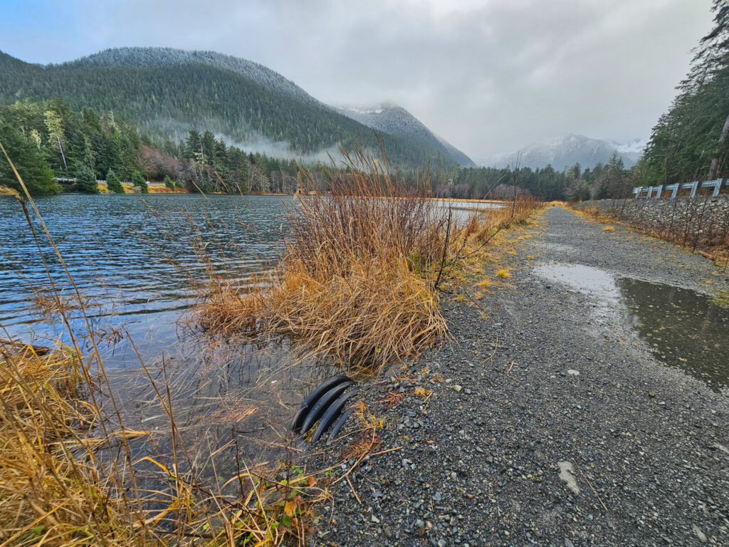 High Tide at Starrigavan