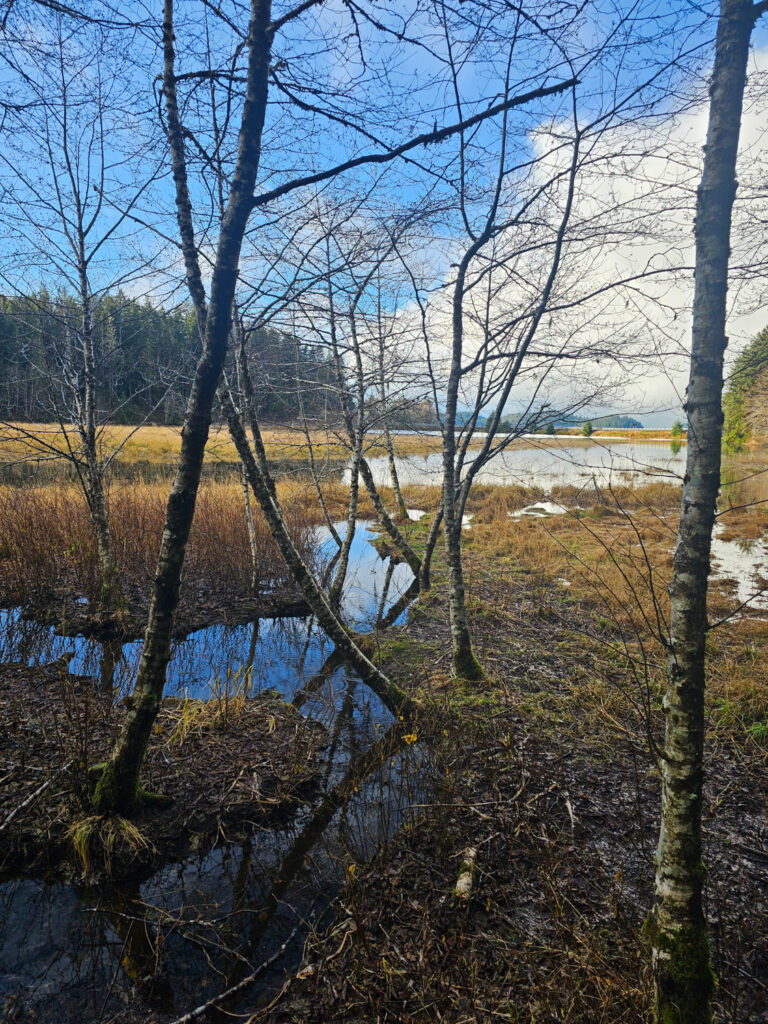 Back Channel along Estuary Life Trail